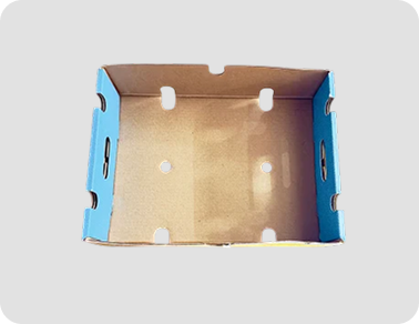 Packaging produced by Tirupati Packaging